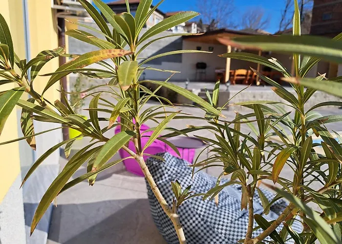 Sunset View Ilindentsi